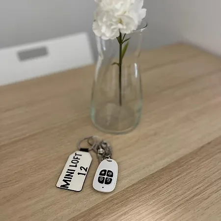 Loft 12 Nel Centro Di Appartement